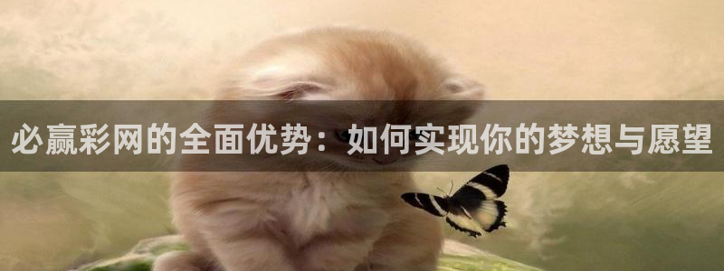必赢彩网的全面优势：如何实现你的梦想与愿望