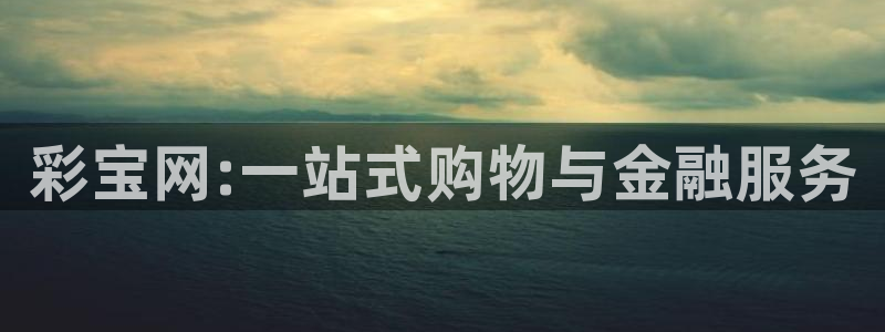 好彩运集团：彩宝网:一站式购物与金融服务