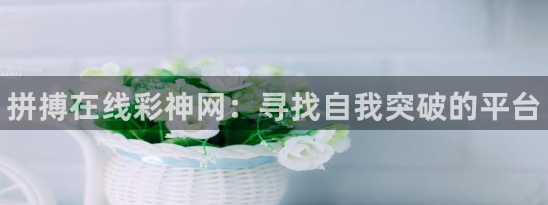 好彩运快：拼搏在线彩神网：寻找自我突破的平台